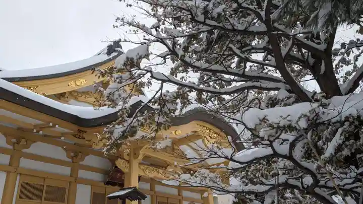 新善光寺の自然