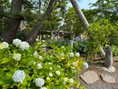 白山神社(新潟県)