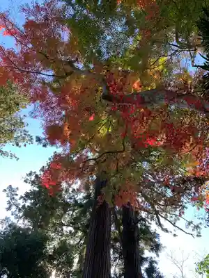 手子后神社(茨城県)