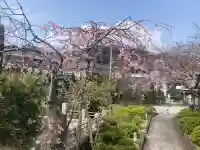 伝福寺の{uncategorized: "未分類", other: "その他", undefined: "問題あり", building: "その他建物", grave: "お墓", sacred_gate: "鳥居", guardian: "狛犬", statue: "像", buddha: "仏像", history: "歴史", nature: "自然", garden: "庭園", animal: "動物", pagoda: "塔", temizu: "手水舎", mountain_gate: "山門・神門", sanctuary: "本殿・本堂", subordinate: "末社・摂社", art: "芸術", scenery: "景色", jizo: "地蔵", ema: "絵馬", goshuin: "御朱印", omikuji: "おみくじ", items: "授与品その他", amulet: "お守り", goshuincho: "御朱印帳", eats: "食事", festival: "お祭り", votive_dance: "神楽", shichigosan: "七五三参", wedding: "結婚式", experience: "体験その他", initially: "初詣", around: "周辺", anti_infection: "感染症対策"}