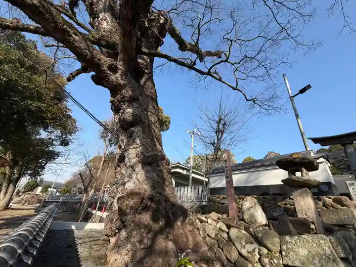 積川神社(大阪府)