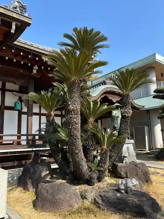 正覚寺(兵庫県)