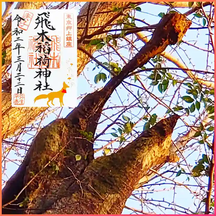 飛木稲荷神社の自然