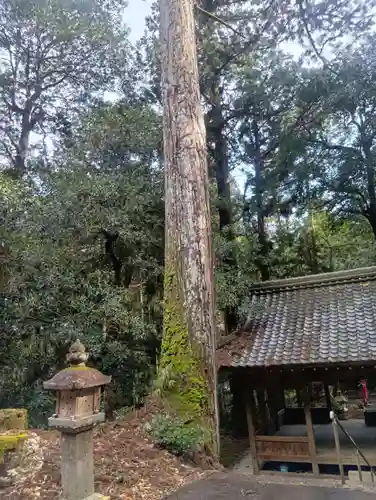 七社神社(岐阜県)