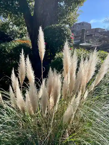 成願寺(神奈川県)