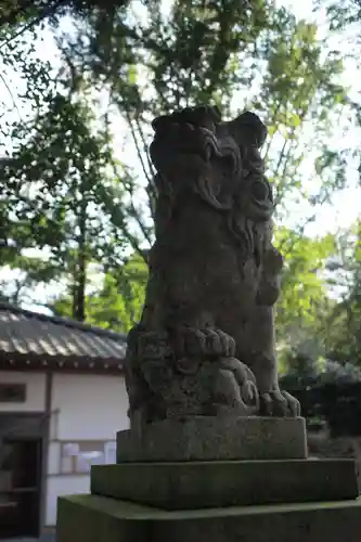 糀谷八幡宮の狛犬