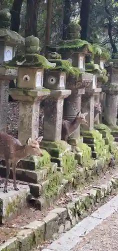 春日大社(奈良県)