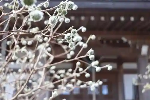 妙楽寺(神奈川県)
