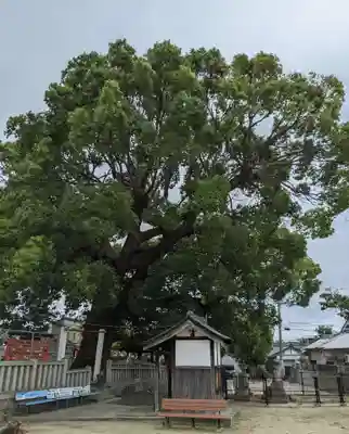 菅原神社(大阪府)