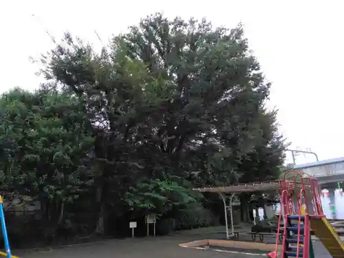 石仏(経堂石仏公園内)(東京都)