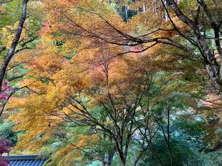 常瀧寺(兵庫県)