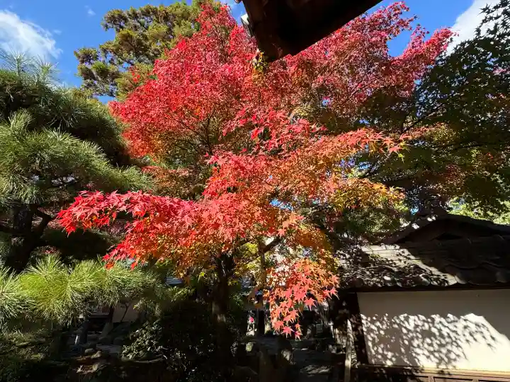 伊勢の国 四天王寺(三重県)