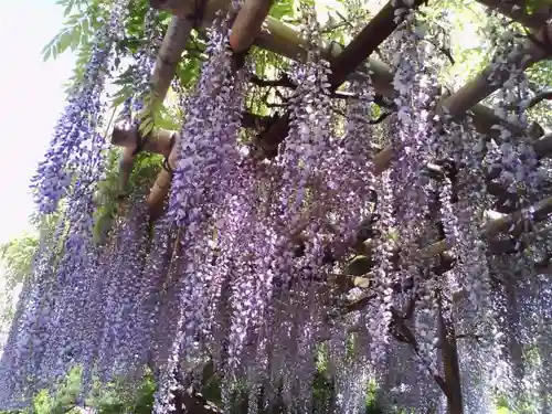 観音山慈眼院（高崎観音）の庭園