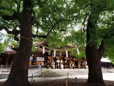 明治神宮の本殿・本堂