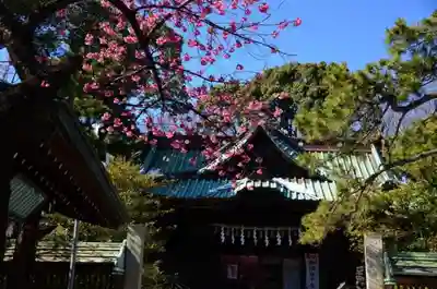 荏原神社の本殿・本堂