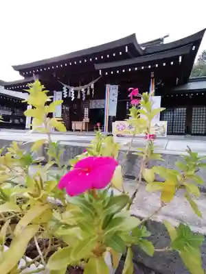 茨城縣護國神社の本殿・本堂