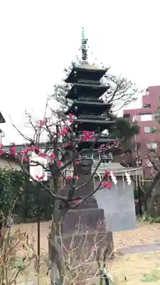 五方山熊野神社の塔
