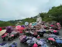 南法華寺(壷阪寺)(奈良県)