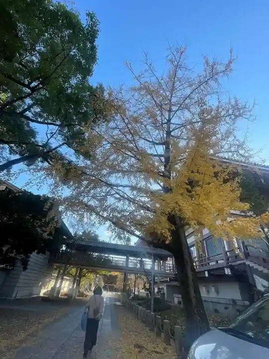 西新井大師総持寺(東京都)