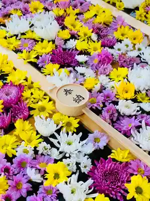 土津神社|こどもと出世の神さまの手水舎