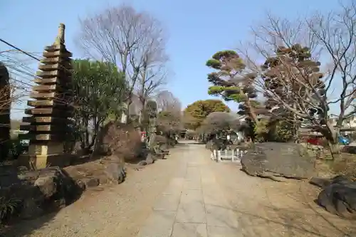 観音寺(埼玉県)