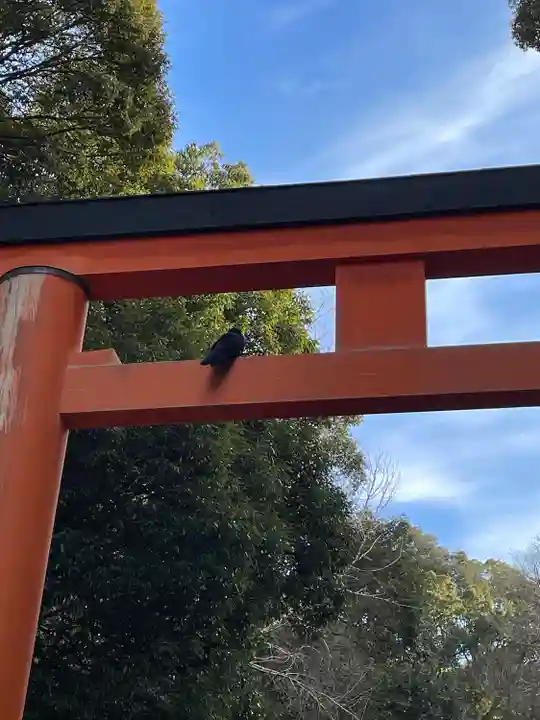 春日大社(奈良県)