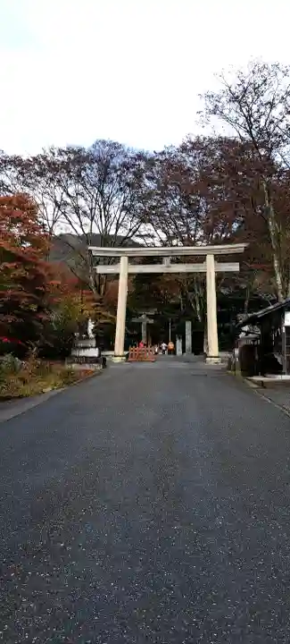 古峯神社の{uncategorized: "未分類", other: "その他", undefined: "問題あり", building: "その他建物", grave: "お墓", sacred_gate: "鳥居", guardian: "狛犬", statue: "像", buddha: "仏像", history: "歴史", nature: "自然", garden: "庭園", animal: "動物", pagoda: "塔", temizu: "手水舎", mountain_gate: "山門・神門", sanctuary: "本殿・本堂", subordinate: "末社・摂社", art: "芸術", scenery: "景色", jizo: "地蔵", ema: "絵馬", goshuin: "御朱印", omikuji: "おみくじ", items: "授与品その他", amulet: "お守り", goshuincho: "御朱印帳", eats: "食事", festival: "お祭り", votive_dance: "神楽", shichigosan: "七五三参", wedding: "結婚式", experience: "体験その他", initially: "初詣", around: "周辺", anti_infection: "感染症対策"}