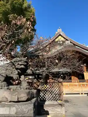 湯島天満宮(東京都)