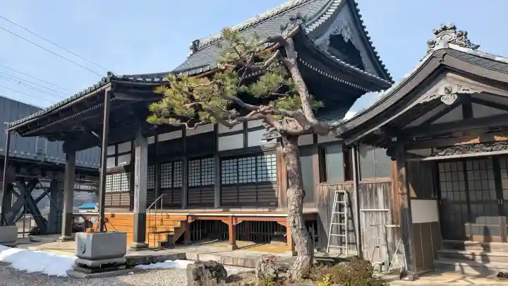 正光寺の{uncategorized: "未分類", other: "その他", undefined: "問題あり", building: "その他建物", grave: "お墓", sacred_gate: "鳥居", guardian: "狛犬", statue: "像", buddha: "仏像", history: "歴史", nature: "自然", garden: "庭園", animal: "動物", pagoda: "塔", temizu: "手水舎", mountain_gate: "山門・神門", sanctuary: "本殿・本堂", subordinate: "末社・摂社", art: "芸術", scenery: "景色", jizo: "地蔵", ema: "絵馬", goshuin: "御朱印", omikuji: "おみくじ", items: "授与品その他", amulet: "お守り", goshuincho: "御朱印帳", eats: "食事", festival: "お祭り", votive_dance: "神楽", shichigosan: "七五三参", wedding: "結婚式", experience: "体験その他", initially: "初詣", around: "周辺", anti_infection: "感染症対策"}