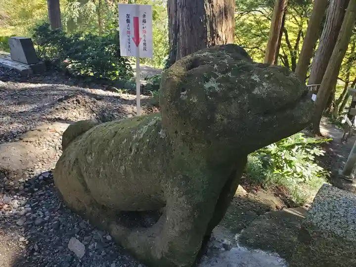 阿久津「田村神社」(郡山市阿久津町)旧社名:伊豆箱根三嶋三社の狛犬