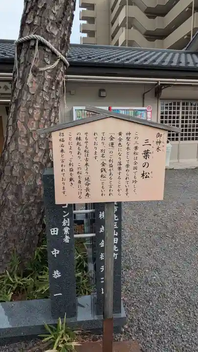 別小江神社(愛知県)