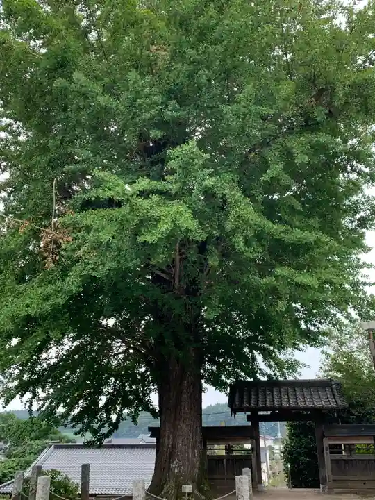 金剛寺(茨城県)