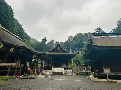 日吉大社の本殿・本堂