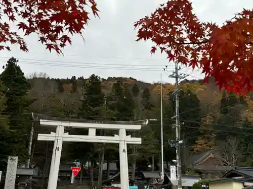 諏訪大社(長野県)