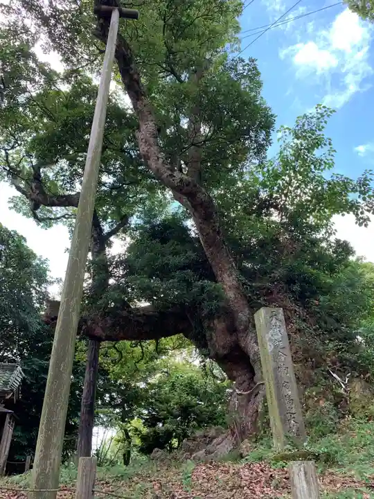 宇賀神社(千葉県)