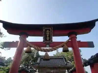 引田部神社の鳥居