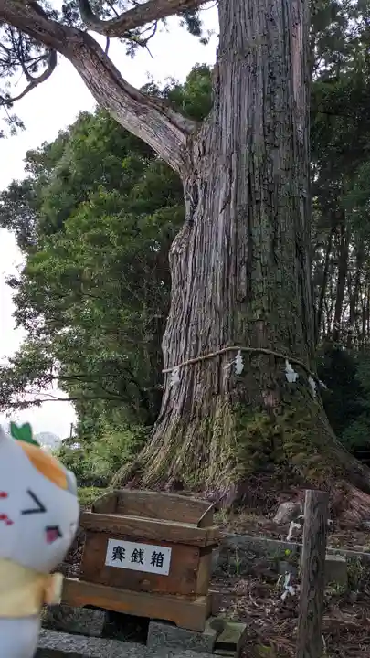 飛龍八幡宮(山口県)