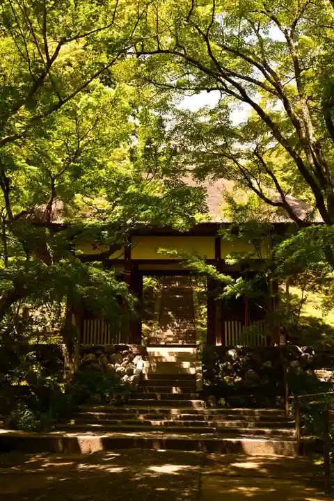 常寂光寺(京都府)