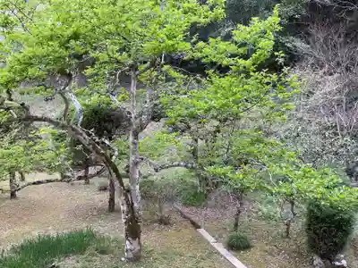 吉祥寺(岐阜県)