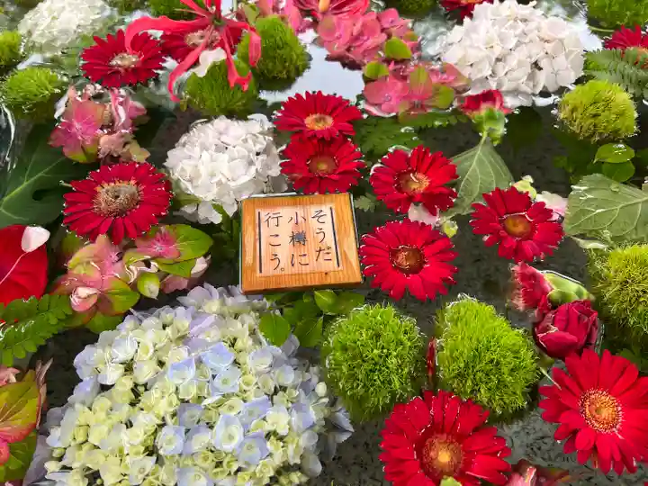 住吉神社の手水舎