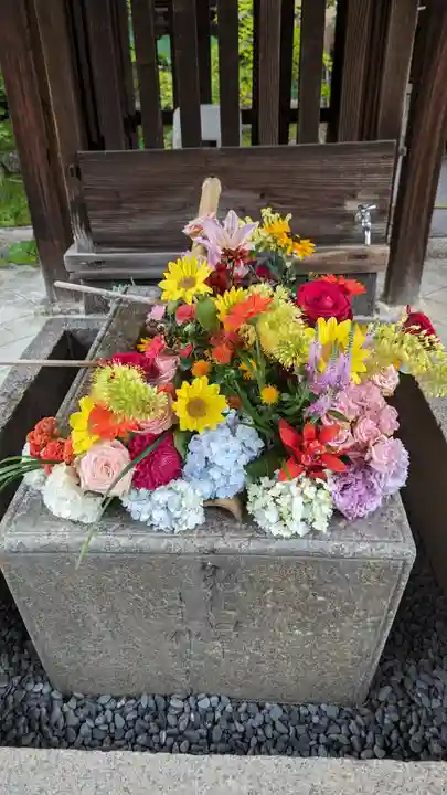 勝林寺(京都府)