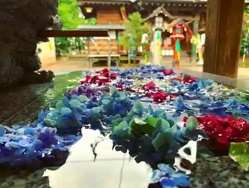 滑川神社 - 仕事と子どもの守り神の手水