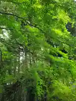 九十九神社の自然