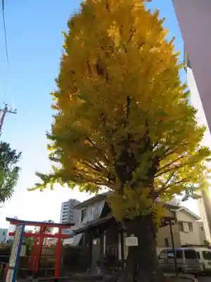 稼穡稲荷社のその他建物