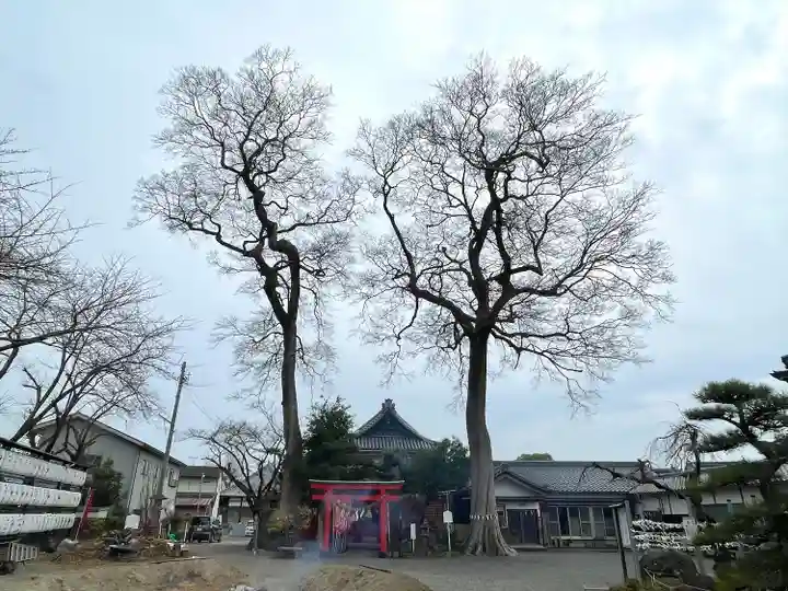 神館飯野高市本多神社(三重県)