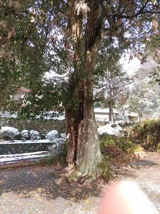 三峯神社(群馬県)