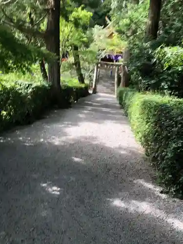 高鴨神社の鳥居