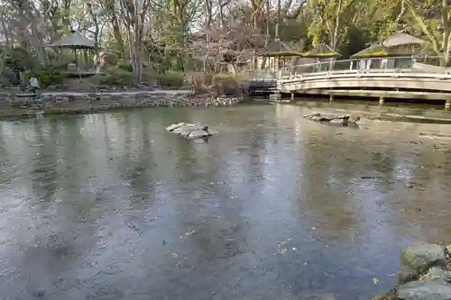 熱田神宮の庭園