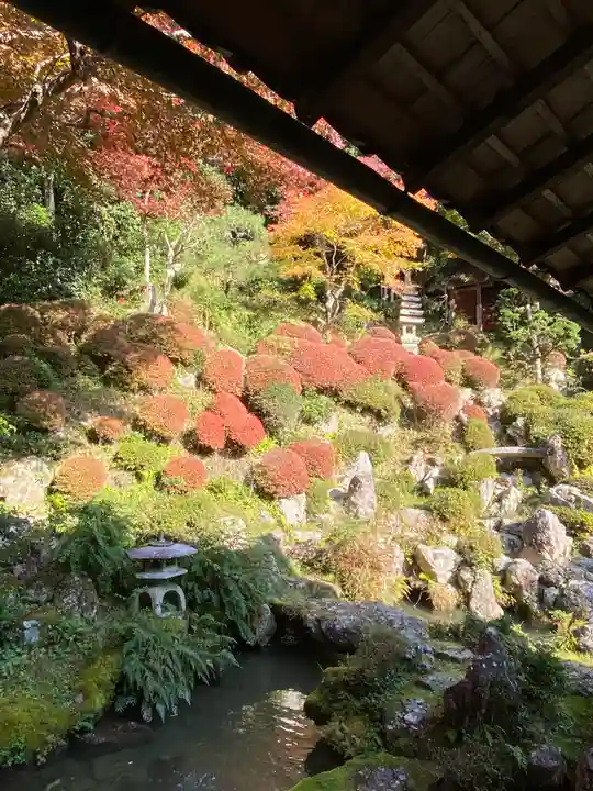 柳谷観音 楊谷寺(京都府)