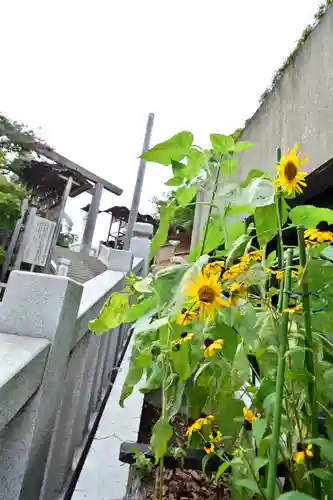 伊勢山皇大神宮(神奈川県)